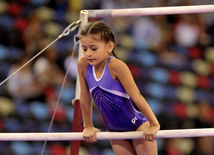 İdman gimnastikası üzrə Bakı çempionatı və birinciliyi. Bakı, Azərbaycan, 02 oktyabr 2015